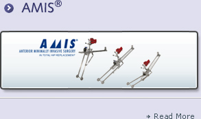 AMIS&reg;