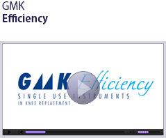 GMK Efficiency - Rose Associates, Inc - A Surgical Implant Distributor
